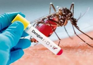 موارد مثبتی از تب دنگی فعلا در آذربایجان شرقی شناسایی نشده است