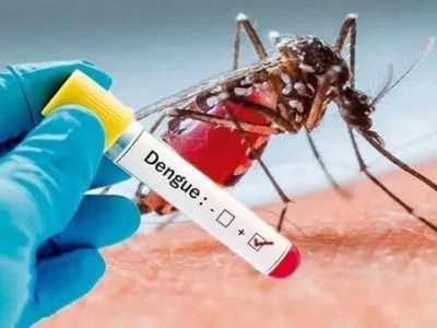 موارد مثبتی از تب دنگی فعلا در آذربایجان شرقی شناسایی نشده است